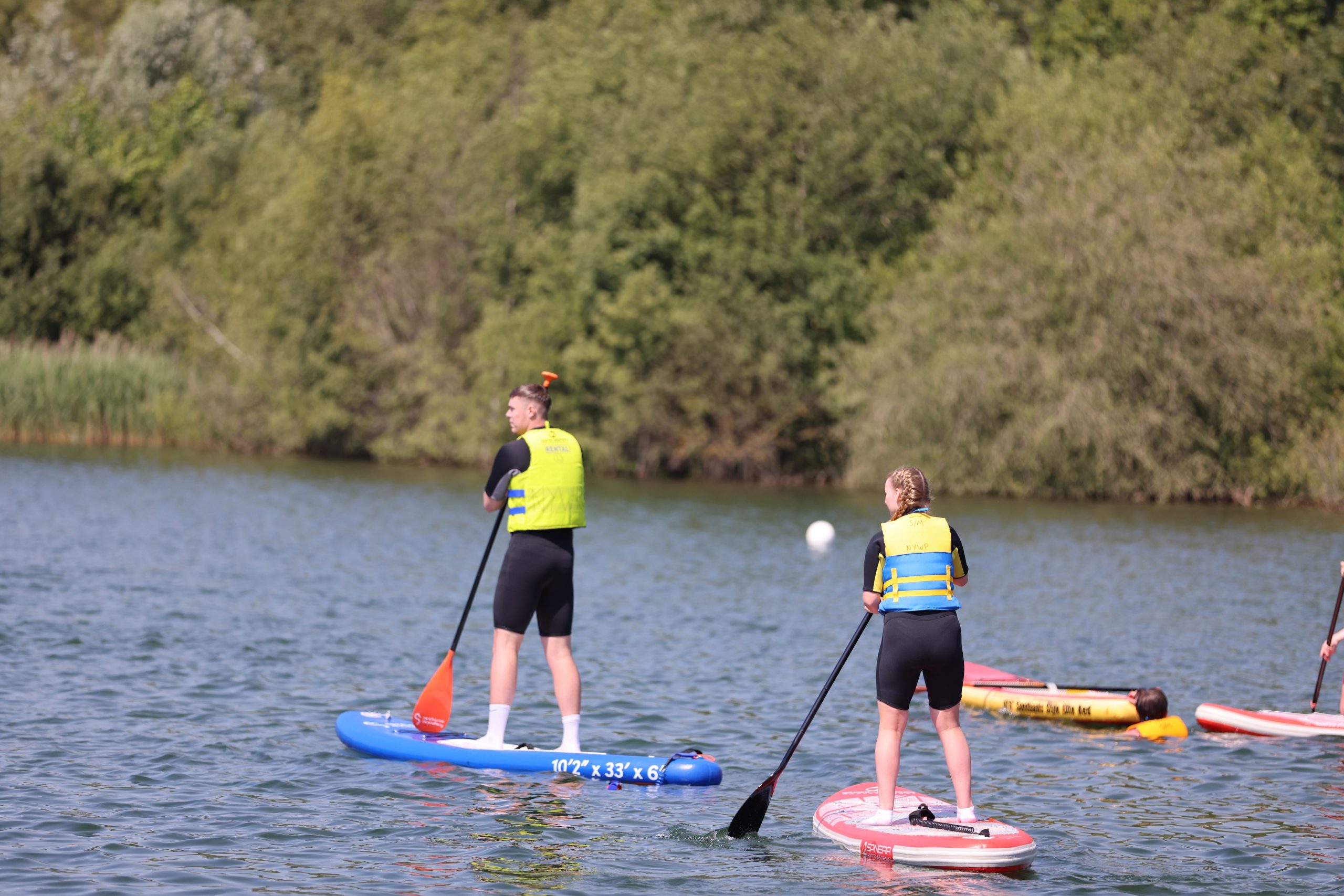 Two people taking part in stand up paddle boarding with oars in their hands on a lake with a line of trees in the distance