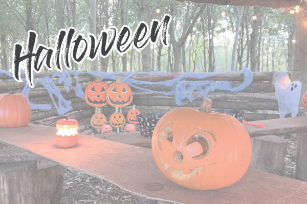 Pumpkins with faces carved out and Halloween lights on a bench with the word Halloween on the picture.